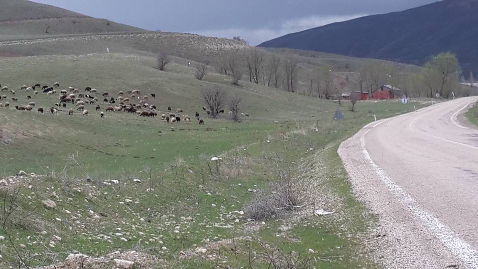 Muş Dilimli Köyü Resimleri 10