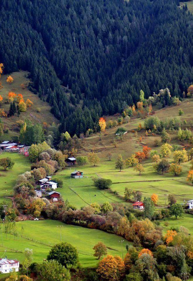 Muş Dilimli Köyü Resimleri 2