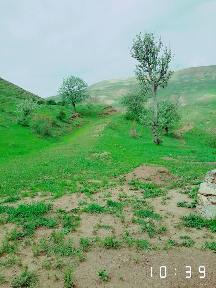 Muş Dilimli Köyü Resimleri 5