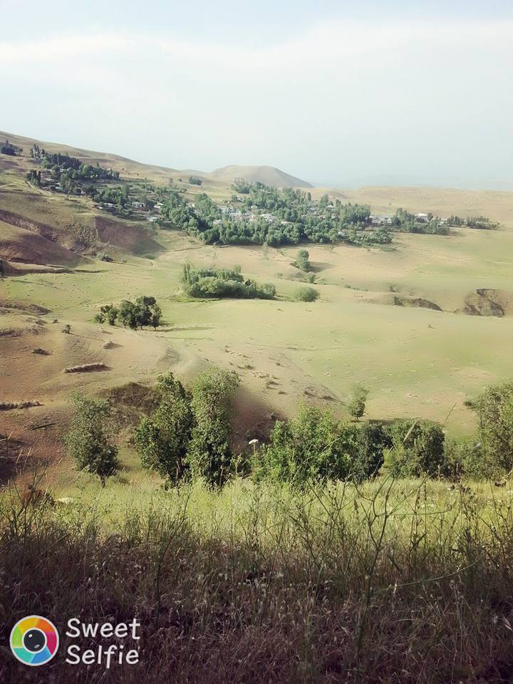 Muş Dilimli Köyü Resimleri 7