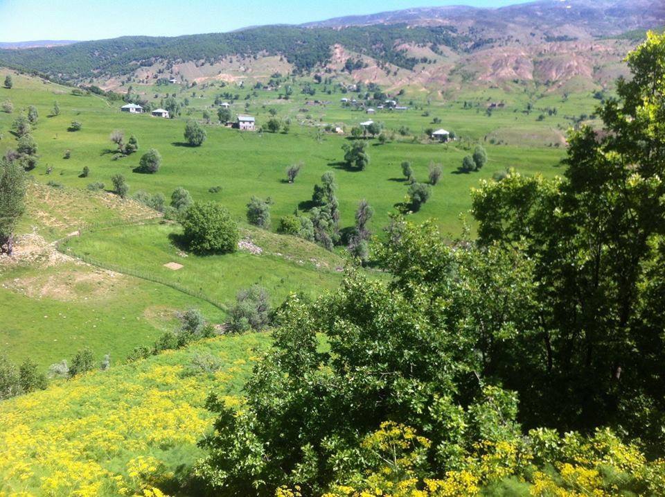 Muş Ekindüzü Köyü Resimleri 1