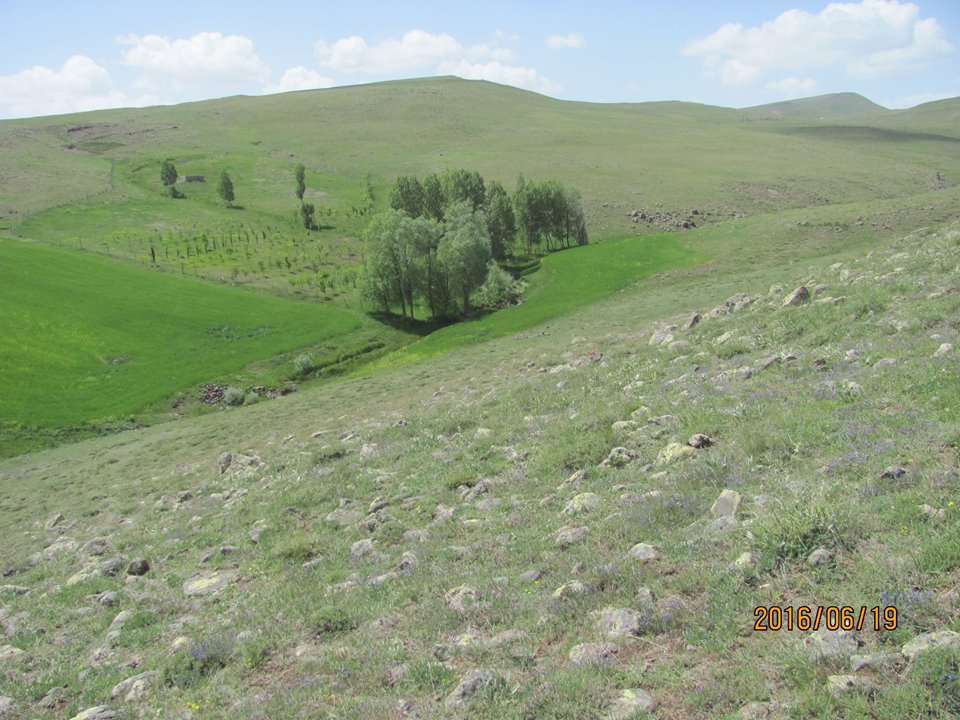 Altınyayla Kızılhöyük Köyü Resimleri 2