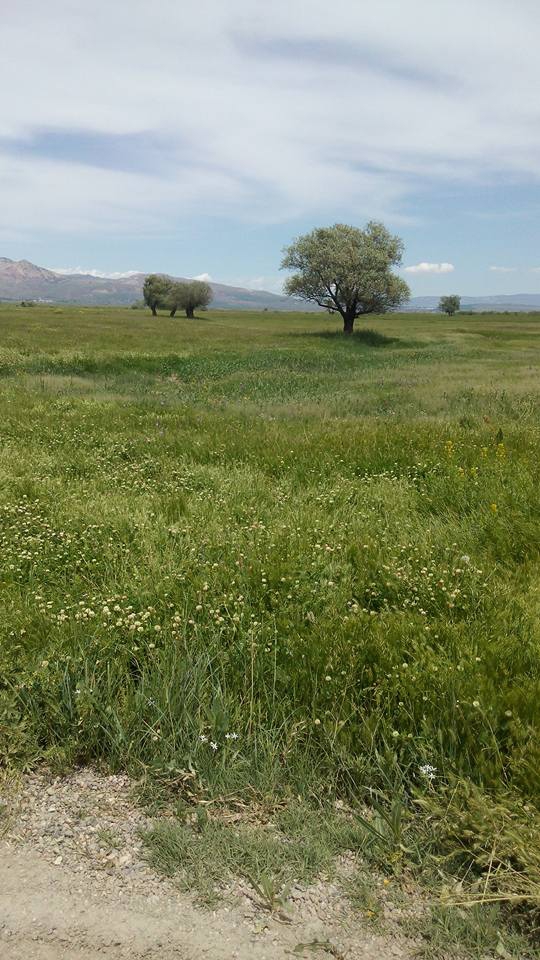 Muş Eralanı Köyü Resimleri 10