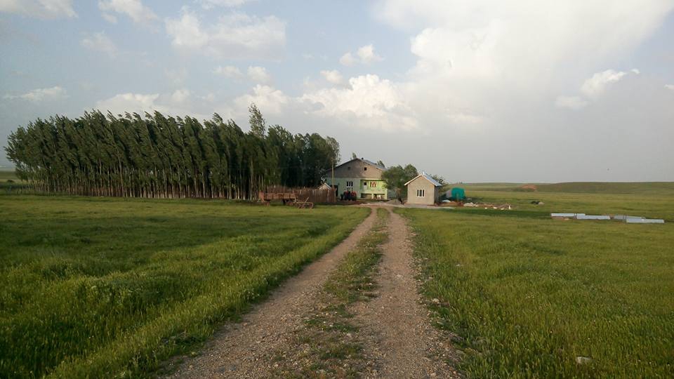 Muş Eralanı Köyü Resimleri 11