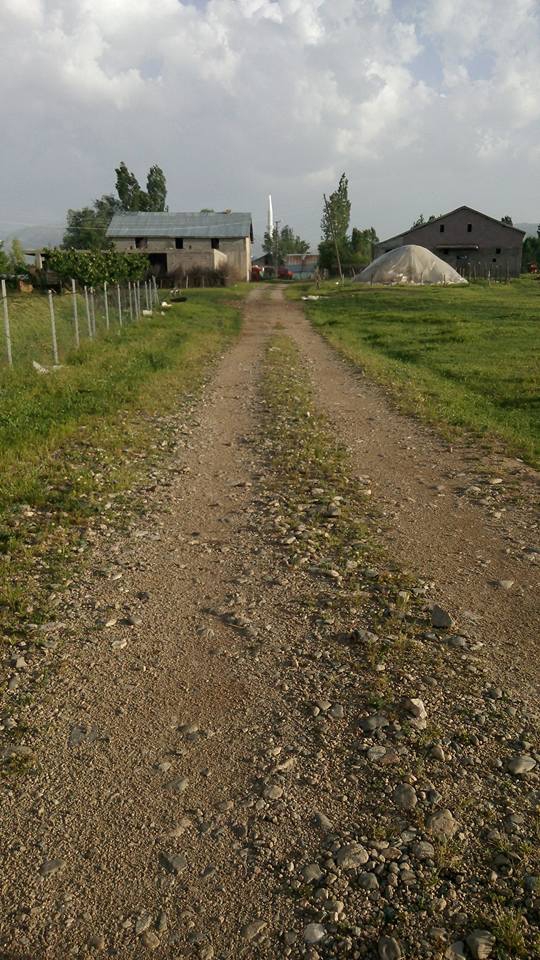 Muş Eralanı Köyü Resimleri 4