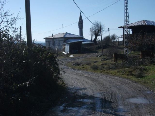 Muş Erencik Köyü Resimleri 2