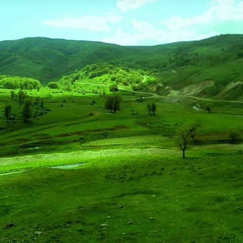 Muş Güdümlü Köyü Resimleri 2