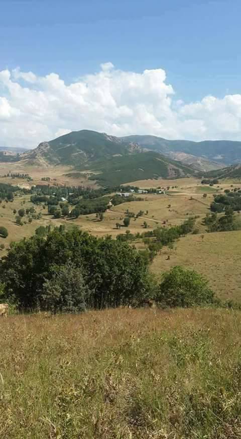 Muş Güdümlü Köyü Resimleri 4