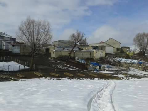 Muş Gümüşali Köyü Resimleri 11