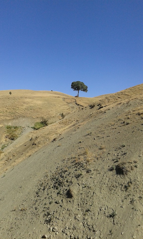 Muş Gümüşali Köyü Resimleri 2