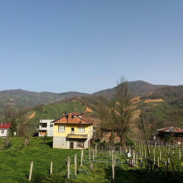 Muş Gündoğan Köyü Resimleri 1