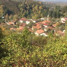 Muş Gündoğan Köyü Resimleri 4