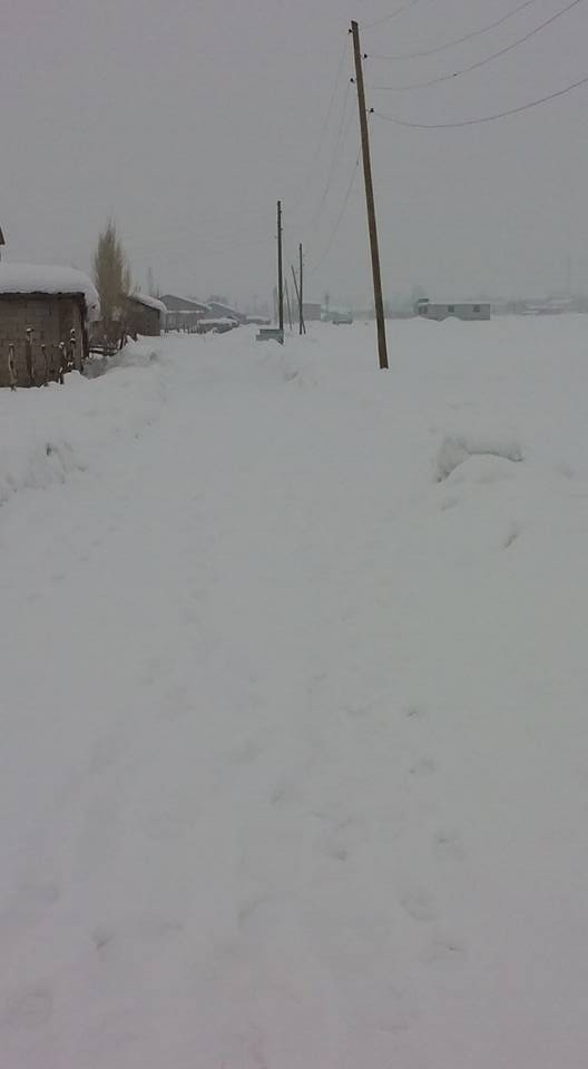 Muş Harman Köyü Resimleri 6