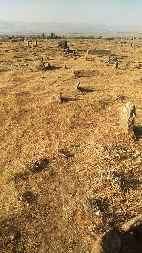 Muş Harman Köyü Resimleri 7