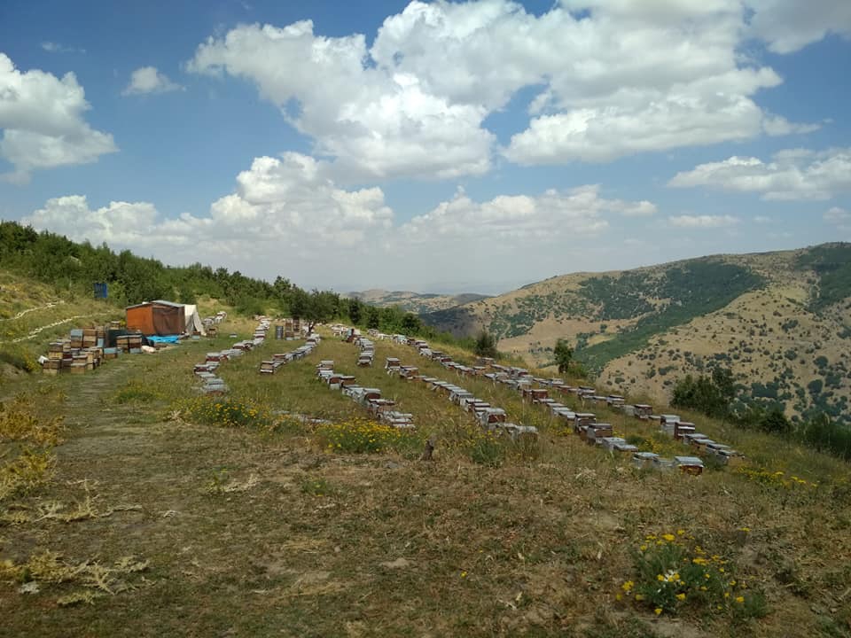 Muş Ilıca Köyü Resimleri 11