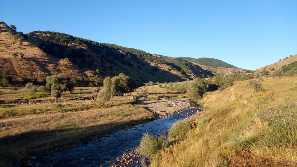Muş Ilıca Köyü Resimleri 2