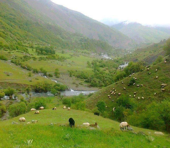 Muş Ilıca Köyü Resimleri 6