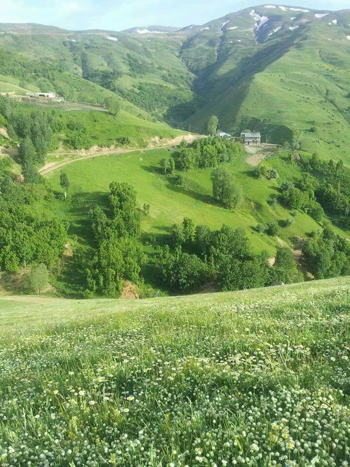 Muş Karlıdere Köyü Resimleri 3