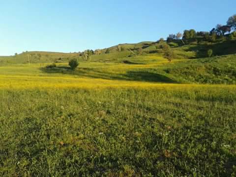 Muş Karlıdere Köyü Resimleri 4