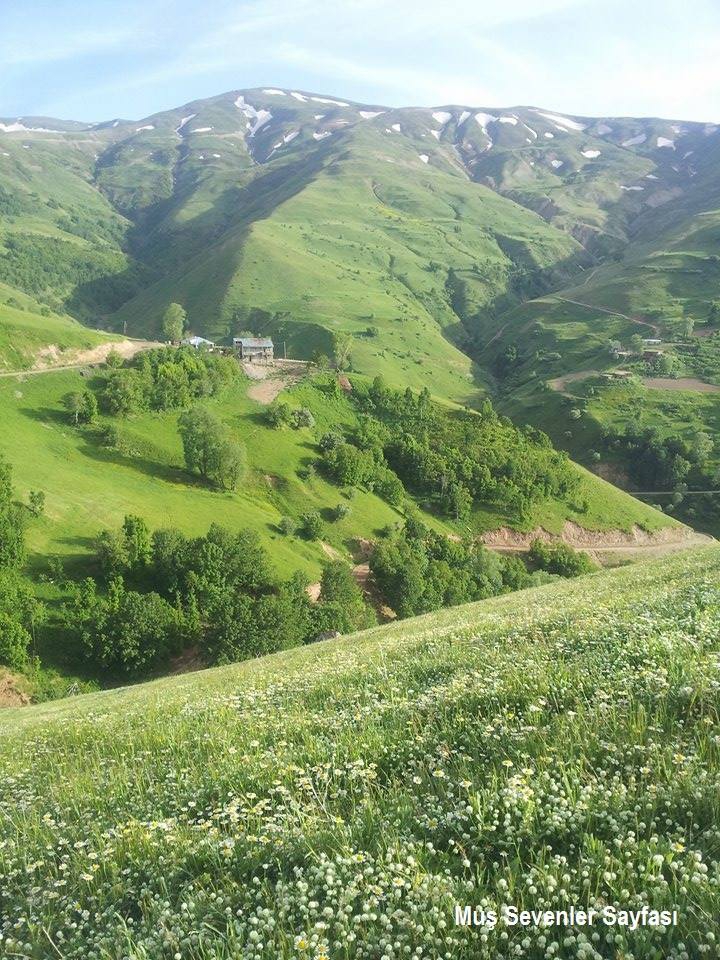 Muş Karlıdere Köyü Resimleri 6