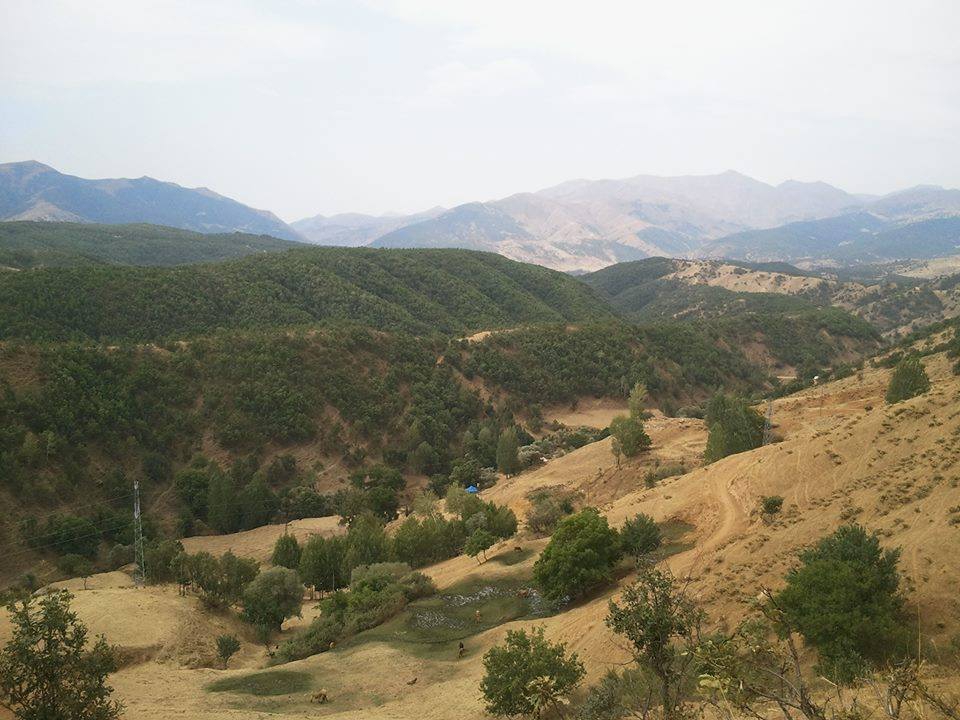 Muş Kayalısu Köyü Resimleri 1