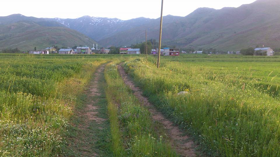 Muş Kepenek Köyü Resimleri 5