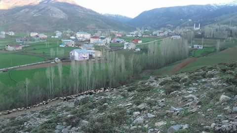 Muş Kepenek Köyü Resimleri 8