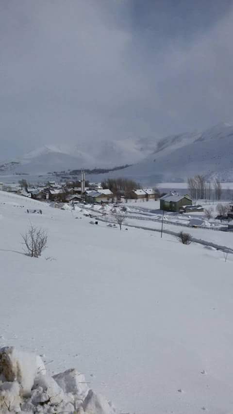 Muş Kepenek Köyü Resimleri 9