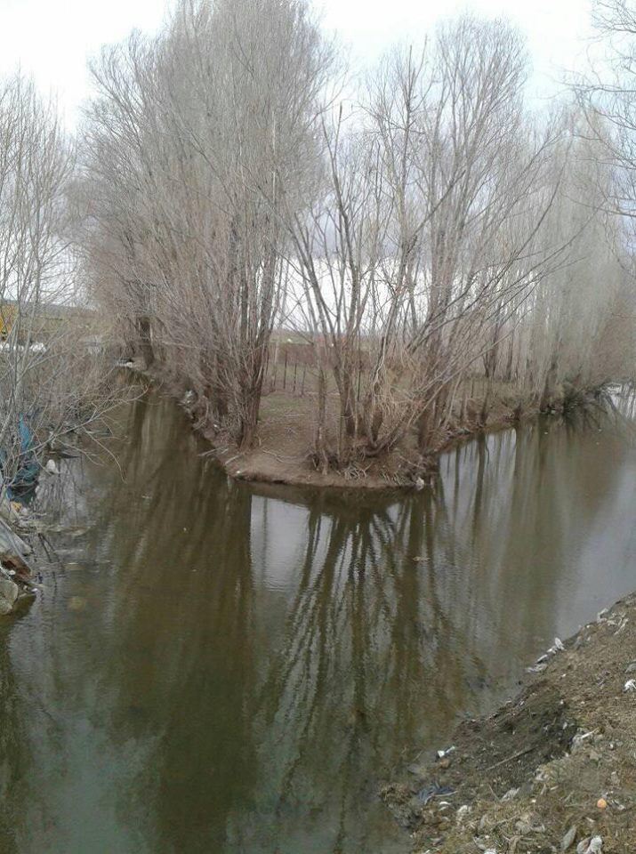 Muş Kıyık Köyü Resimleri 2