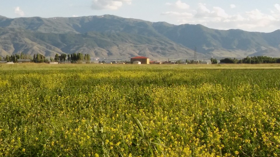 Muş Kıyık Köyü Resimleri 9