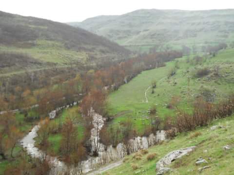 Muş Köşk Köyü Resimleri 10
