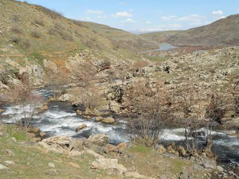 Muş Köşk Köyü Resimleri 11