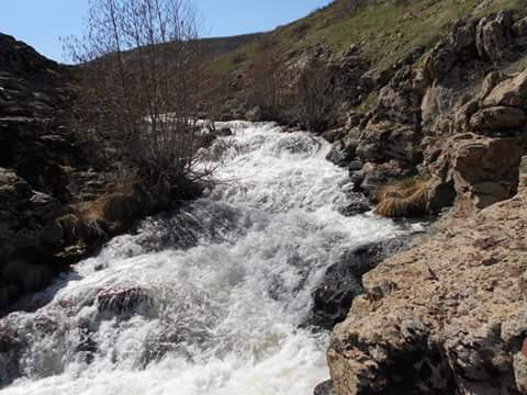 Muş Köşk Köyü Resimleri 8