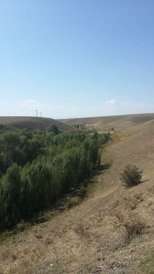 Muş Mercimekkale Köyü Resimleri 2