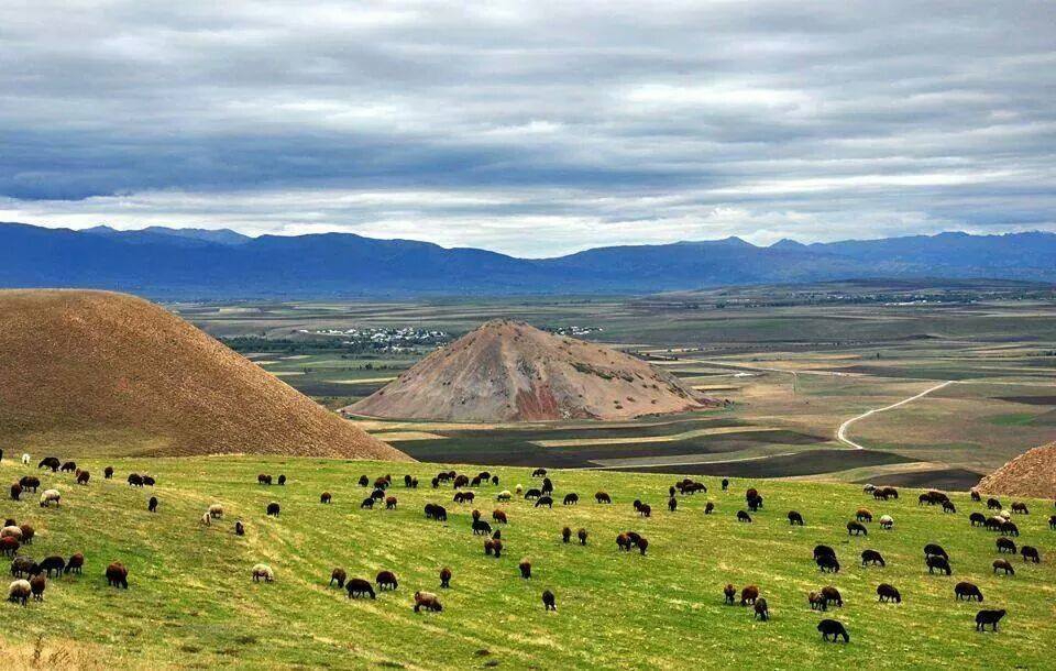 Muş Mercimekkale Köyü Resimleri 4