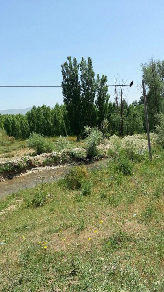 Muş Mercimekkale Köyü Resimleri 5