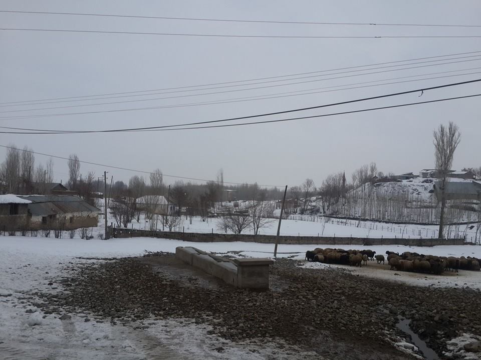 Muş Mercimekkale Köyü Resimleri 8