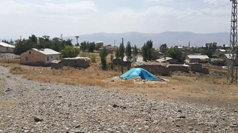 Muş Muratgören Köyü Resimleri 7