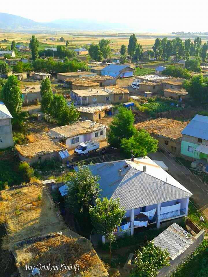 Muş Ortakent Köyü Resimleri 1