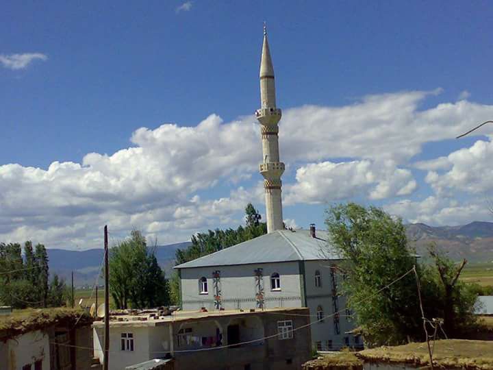 Muş Ortakent Köyü Resimleri 10