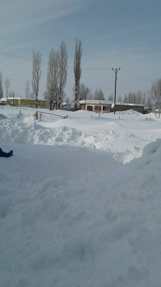 Muş Ortakent Köyü Resimleri 11