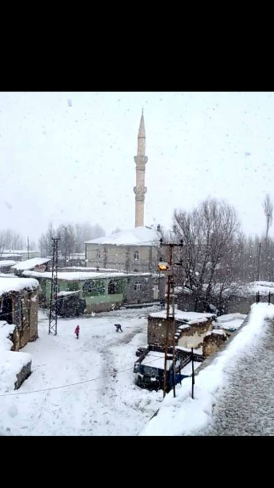 Muş Ortakent Köyü Resimleri 2