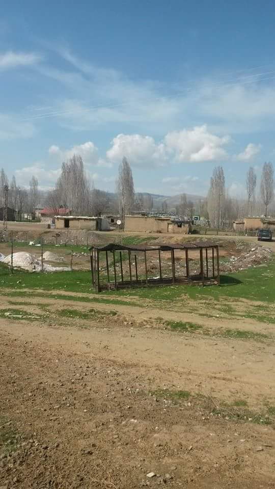 Muş Ortakent Köyü Resimleri 4