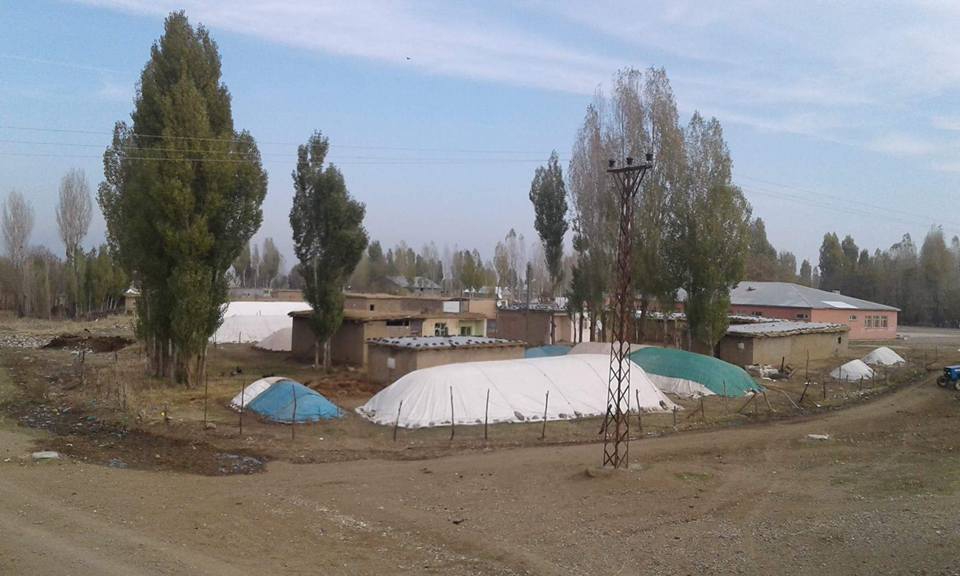 Muş Ortakent Köyü Resimleri 8