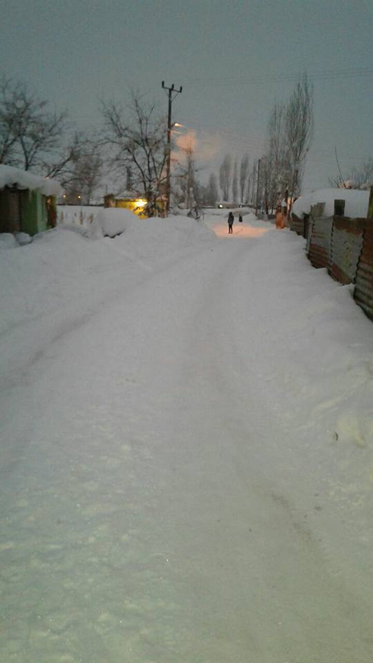 Muş Ortakent Köyü Resimleri 9