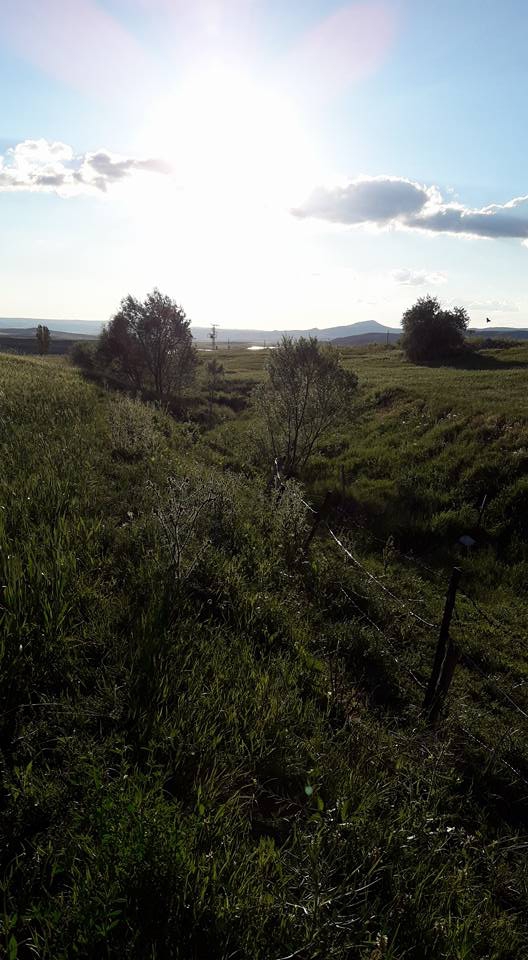 Altınyayla Paşaköy Resimleri 16