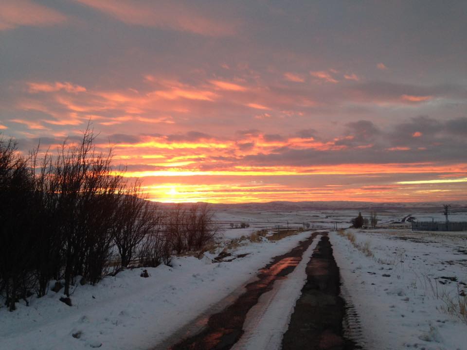 Altınyayla Paşaköy Resimleri 2