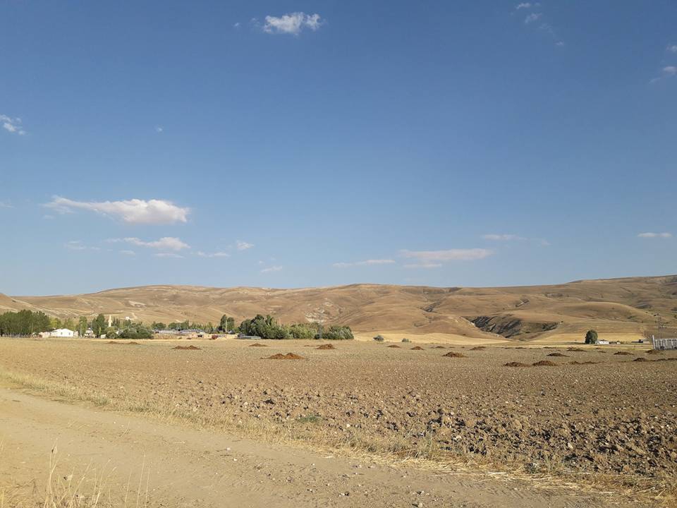 Altınyayla Paşaköy Resimleri 20