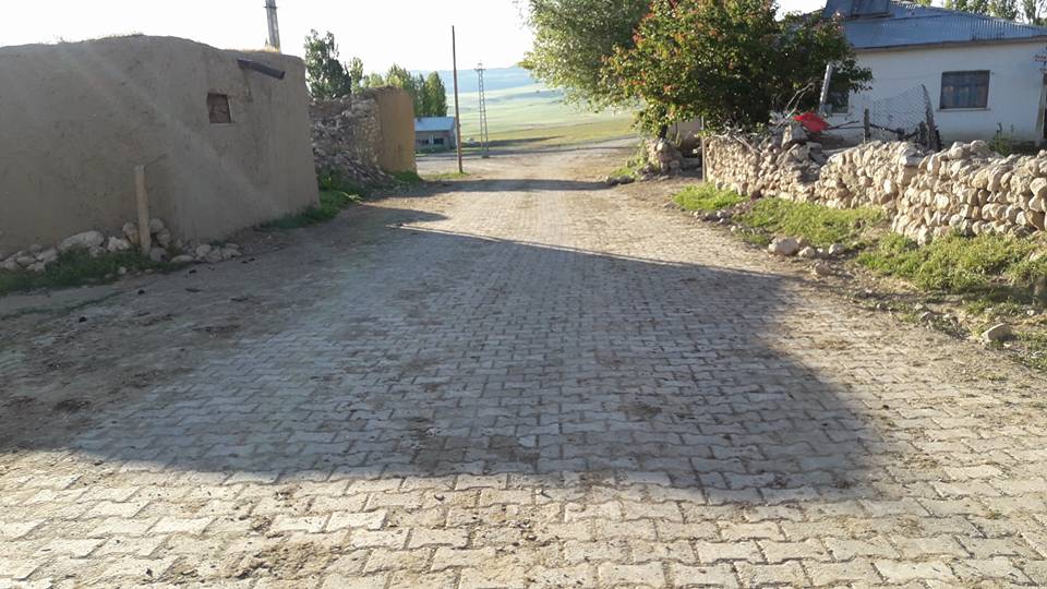 Altınyayla Paşaköy Resimleri 4