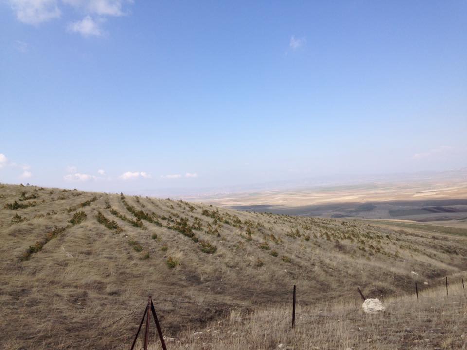 Altınyayla Paşaköy Resimleri 7